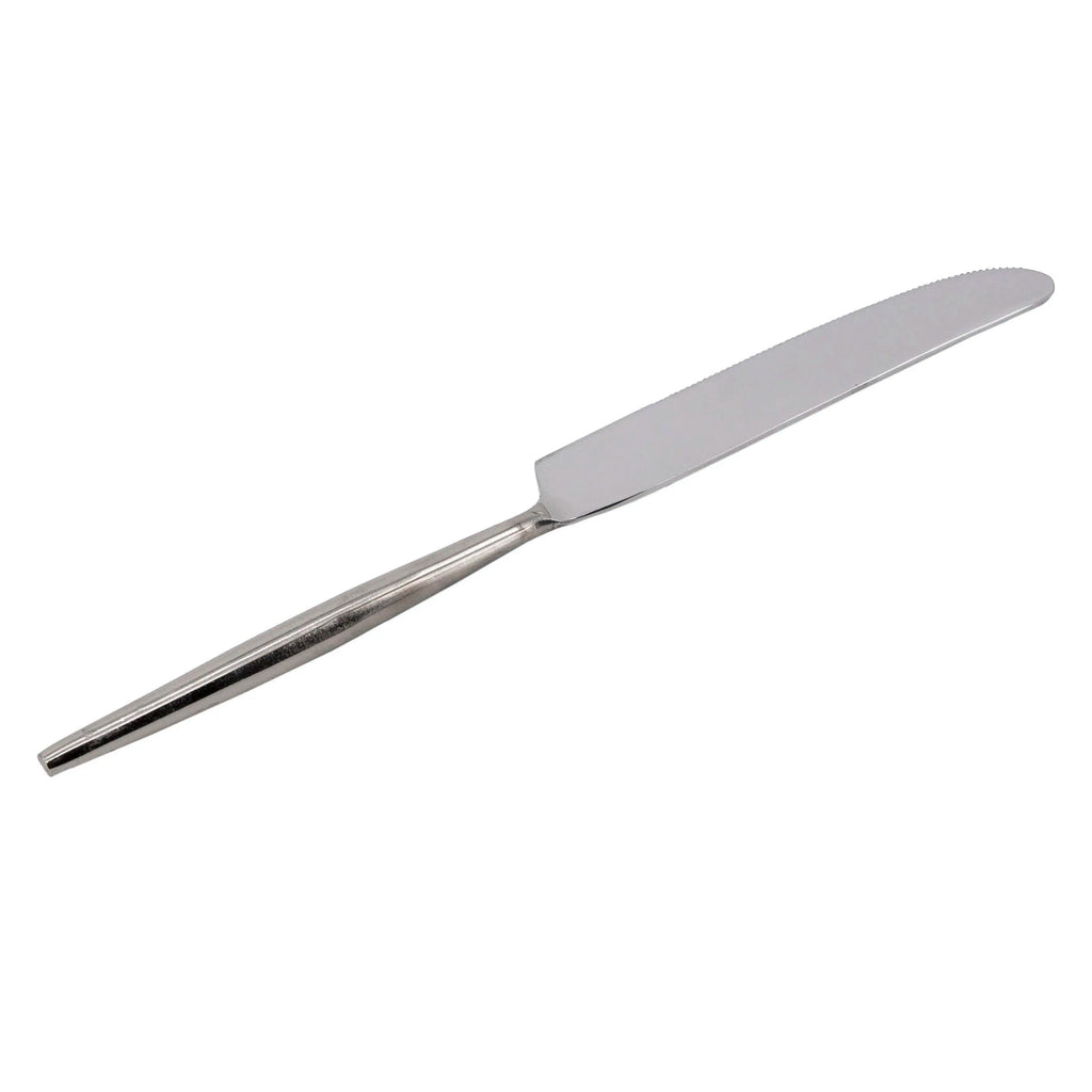 Table knife nickel SS 24x2x1