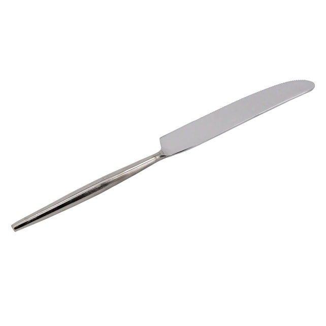 Table knife nickel SS 24x2x1