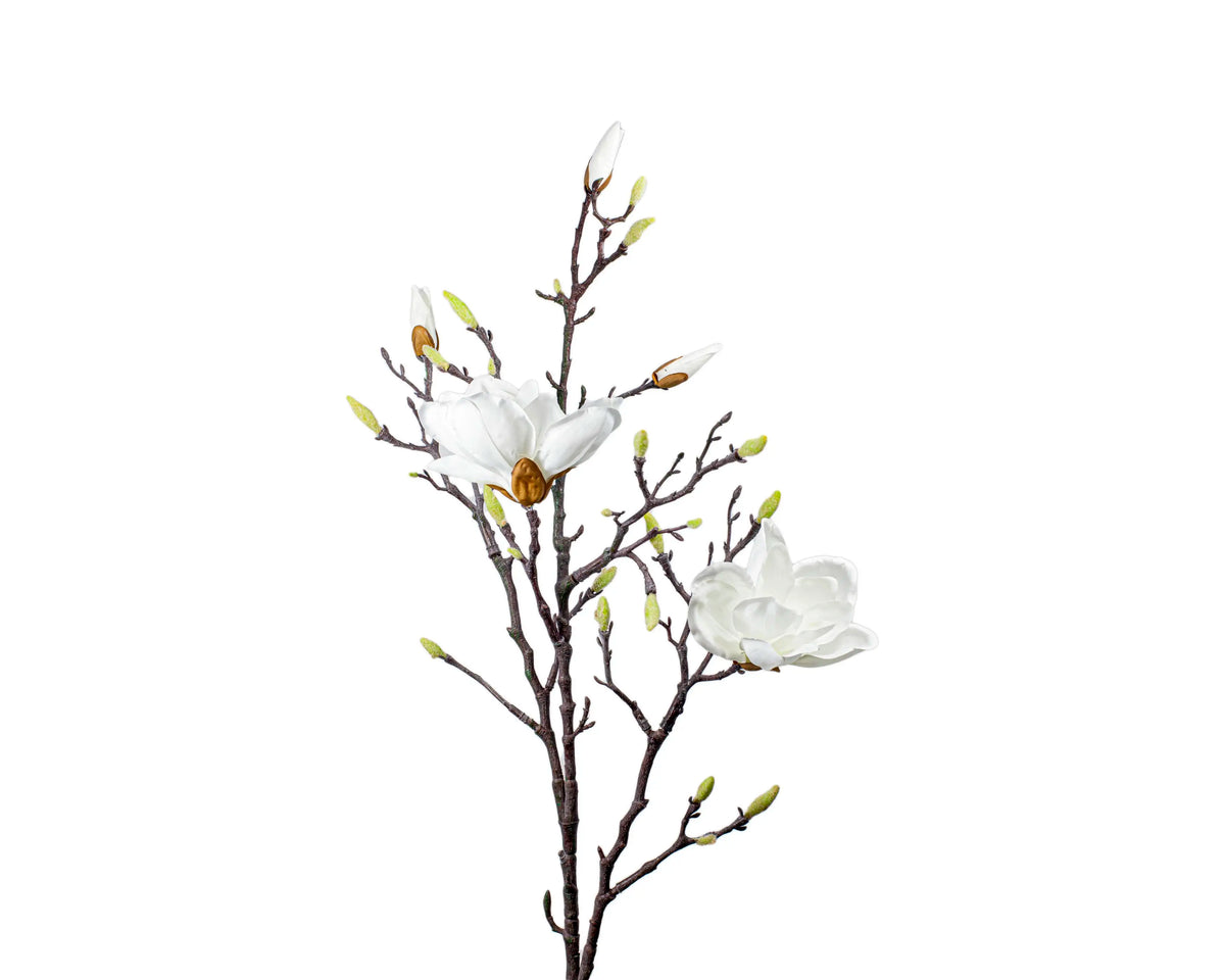 Flower magnolia flowerheads white 104cm