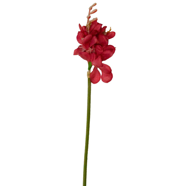 Flower narcissus red 58cm