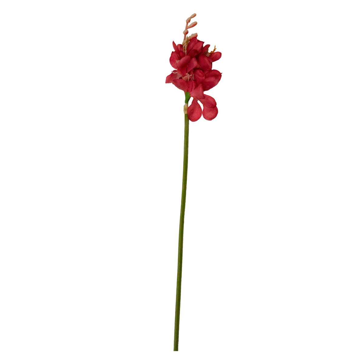 Flower narcissus red 58cm