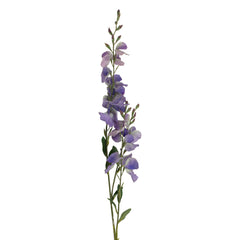 Flower beancurd blue 92cm