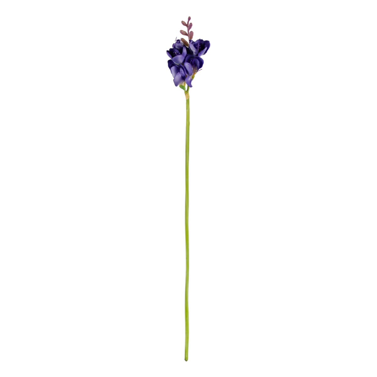 Flower narcissus purple 58cm