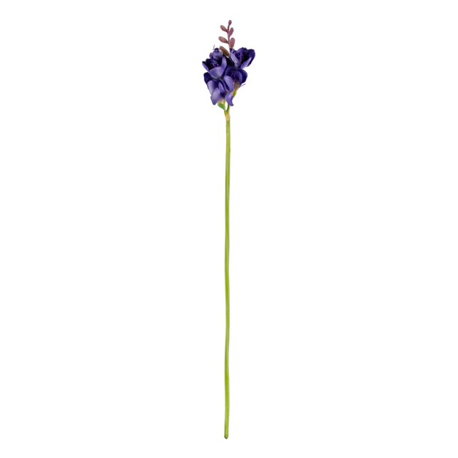 Flower narcissus purple 58cm