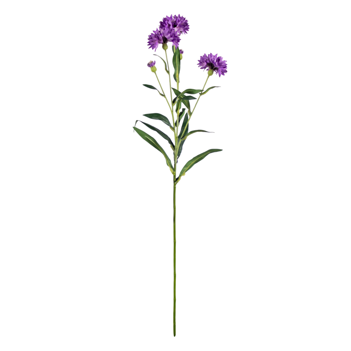 Flower cornflower purple 64cm
