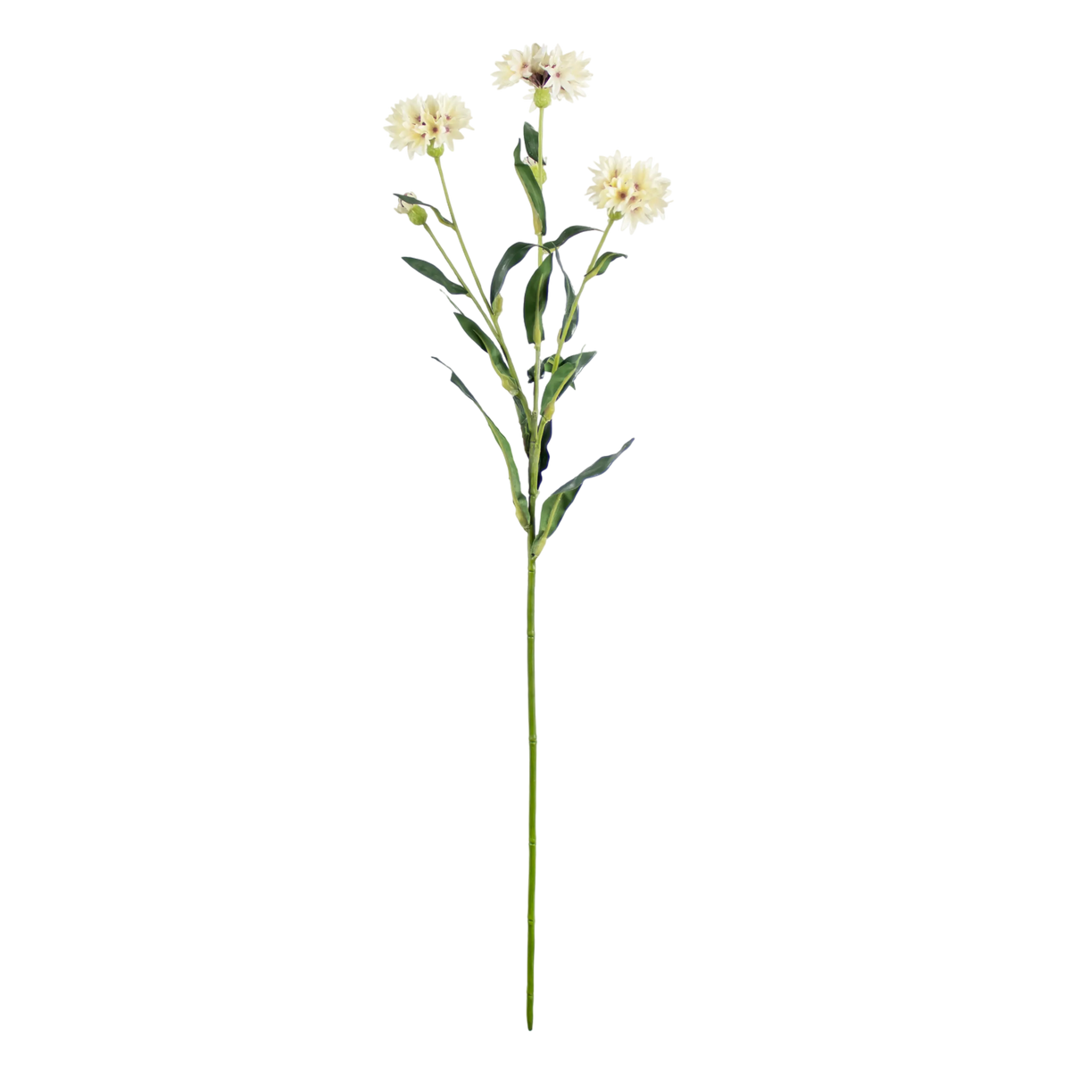Flower cornflower white 64cm
