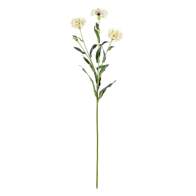 Flower cornflower white 64cm