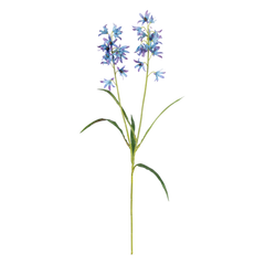 Flower campanula light blue 60cm