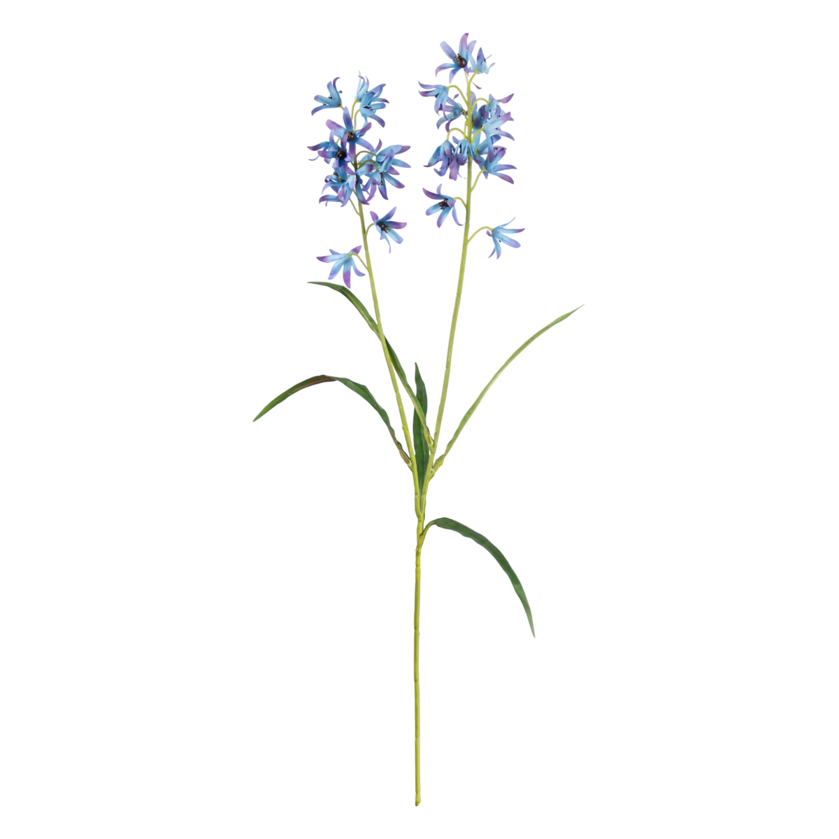 Flower campanula light blue 60cm