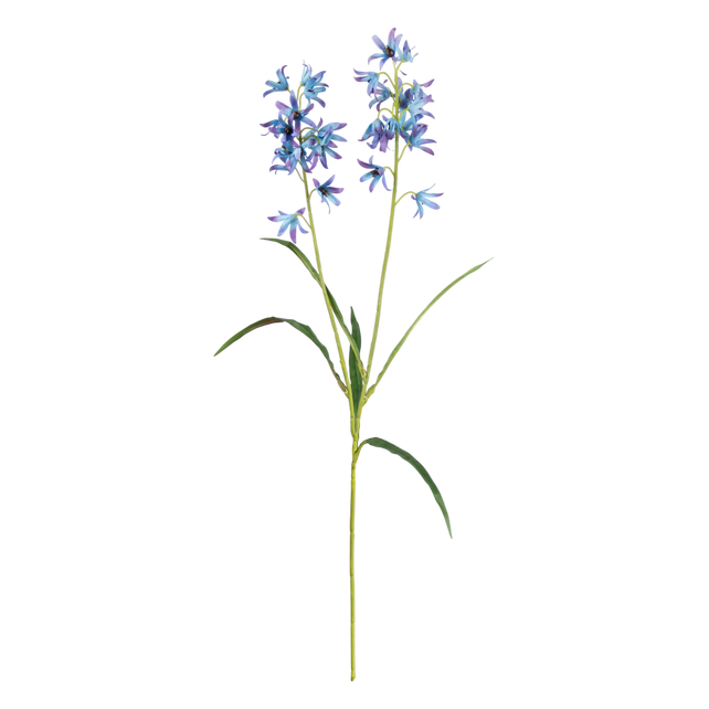Flower campanula light blue 60cm