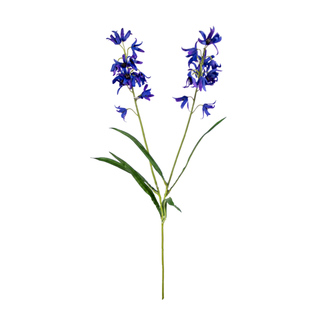 Flower CAMPANULA blue 60cm