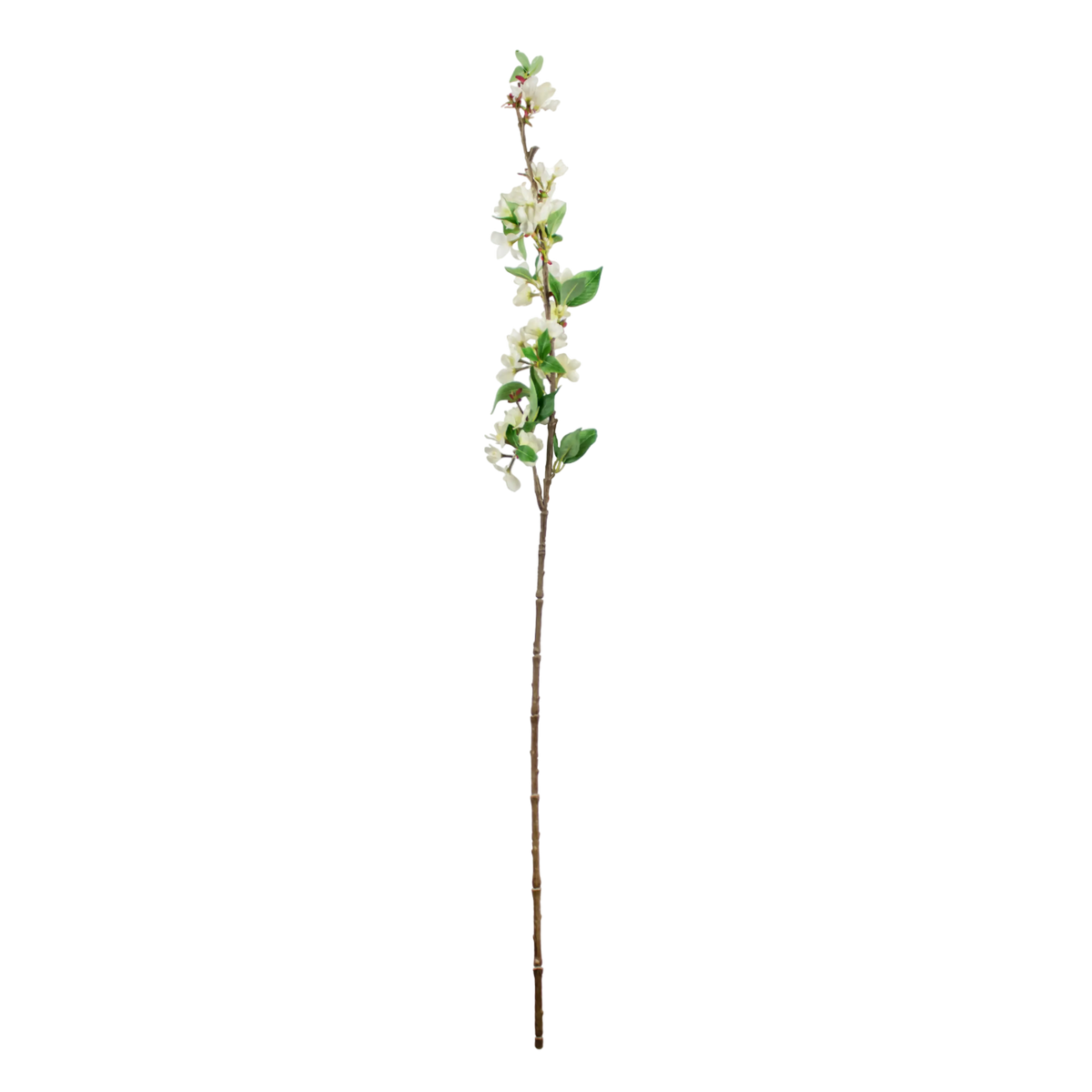 Flower begonia white 105cm