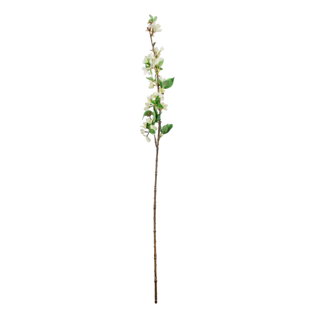 Flower begonia white 105cm
