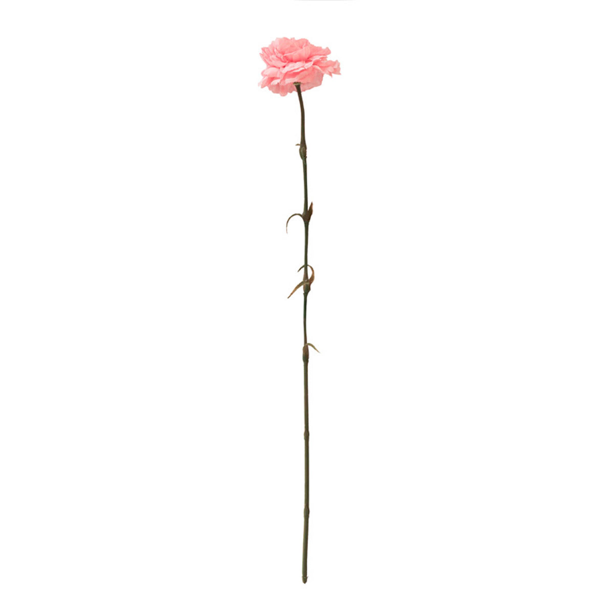 Flower CARNATION pink 60cm