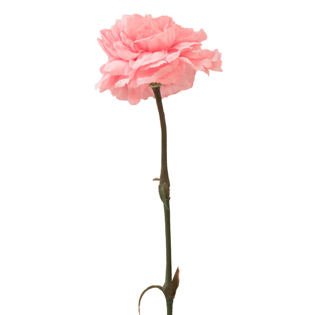 Flower CARNATION pink 60cm