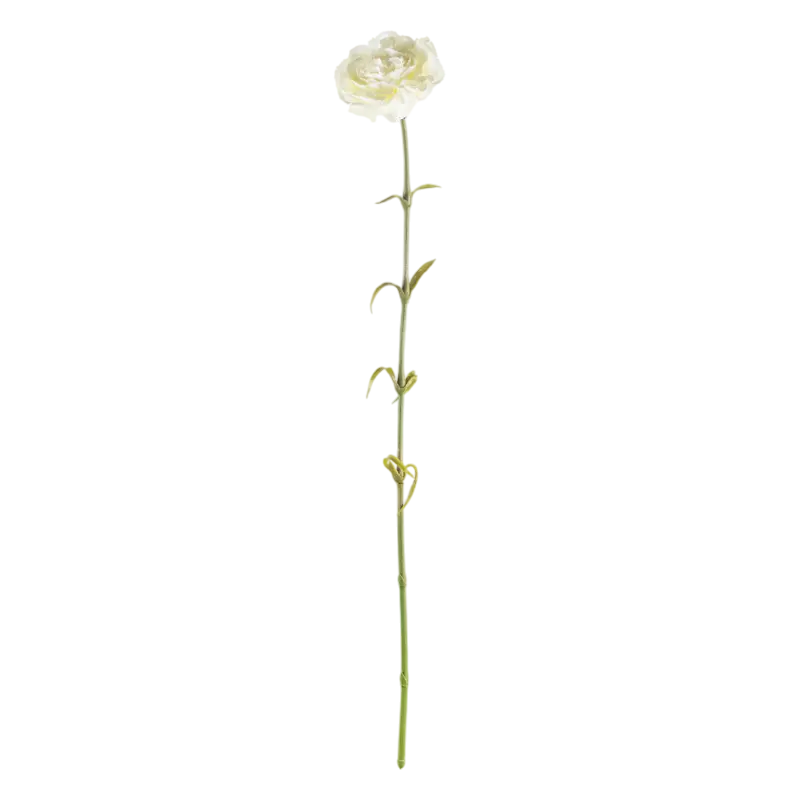 Flower CARNATION white 60cm