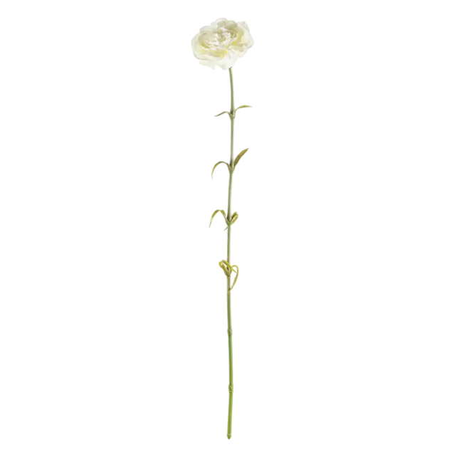Flower CARNATION white 60cm