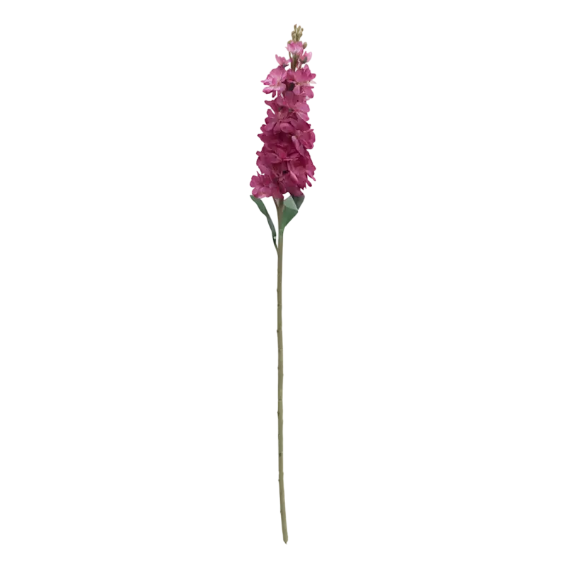 Flower delphinium deep pink 80cm