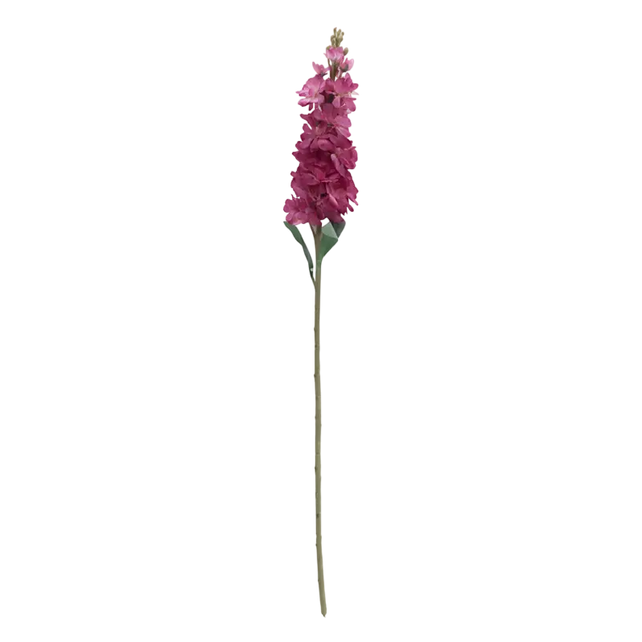 Flower delphinium deep pink 80cm