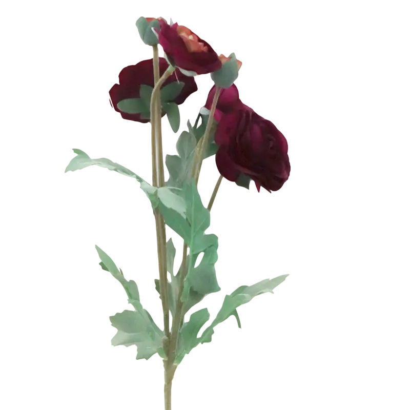 Flower ranunculus deep purple 66cm