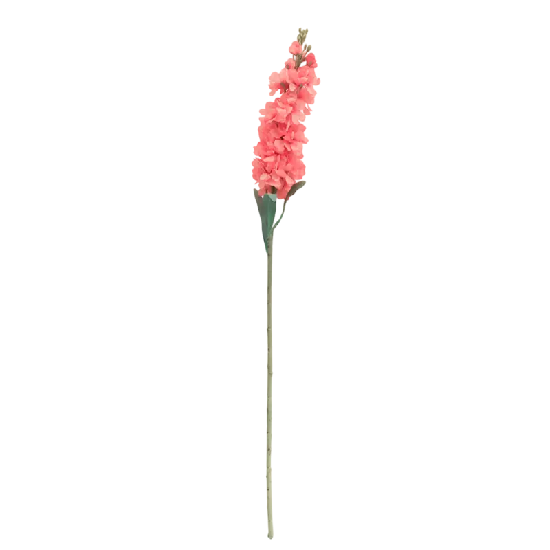 Flower delphinium soft orange 80cm