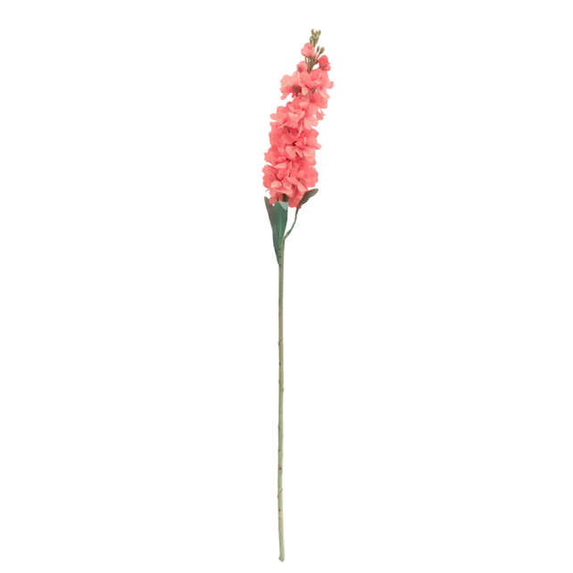 Flower delphinium soft orange 80cm