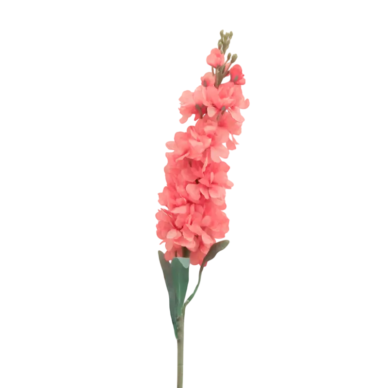 Flower delphinium soft orange 80cm