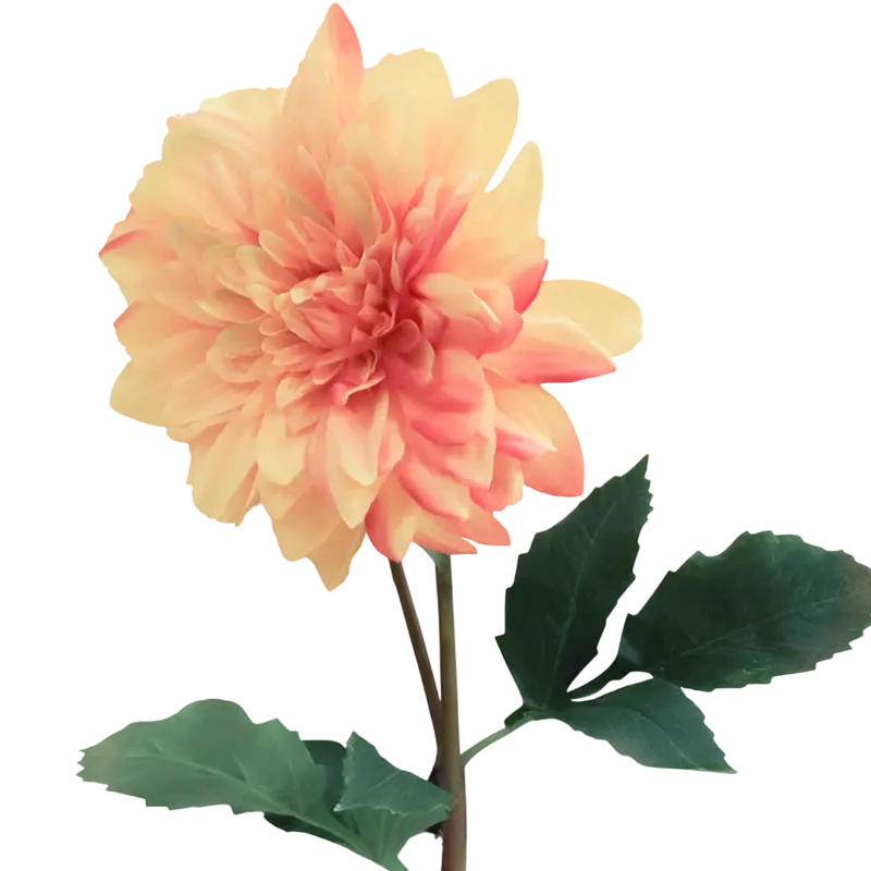 Flower dahlia light orange 90cm
