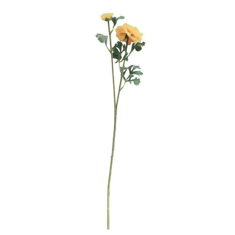 Flower ranunculus yellow 72cm