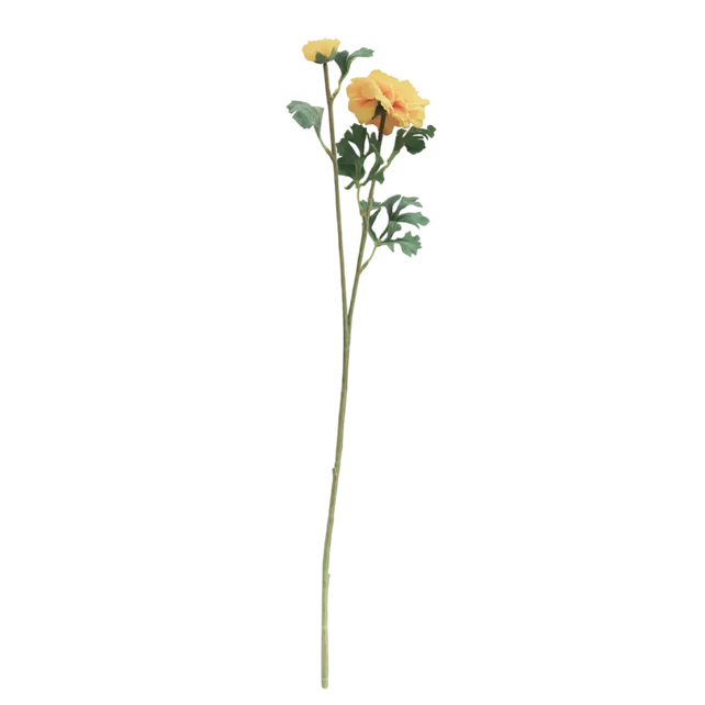 Flower ranunculus yellow 72cm
