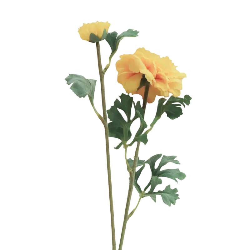 Flower ranunculus yellow 72cm