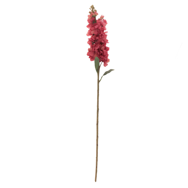Flower delphinium pink 80cm