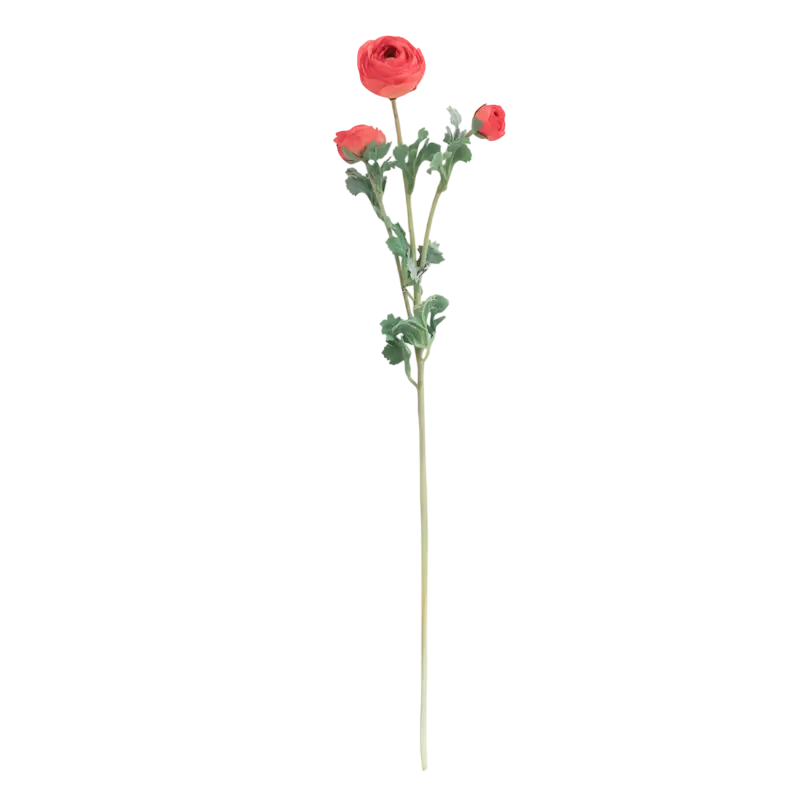 Flower ranunculus pink 73cm