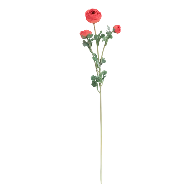 Flower ranunculus pink 73cm