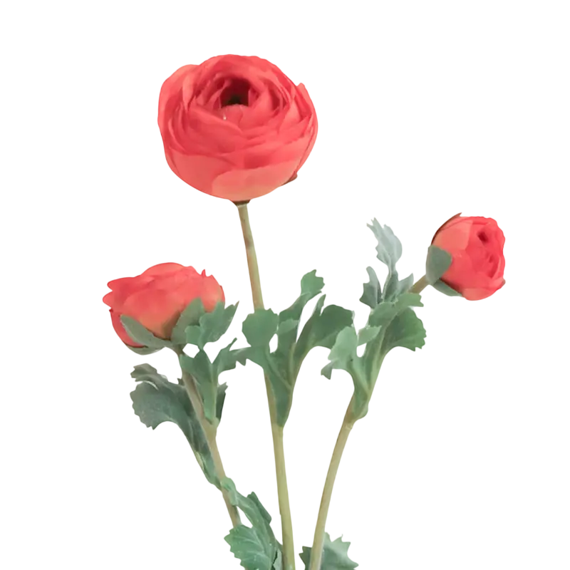 Flower ranunculus pink 73cm