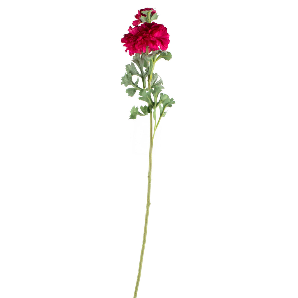 Flower ranunculus red 72cm