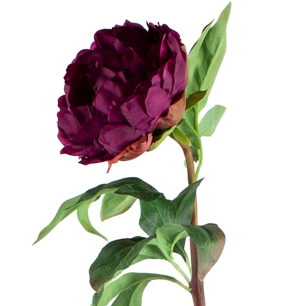 Flower peony burgundy 70cm