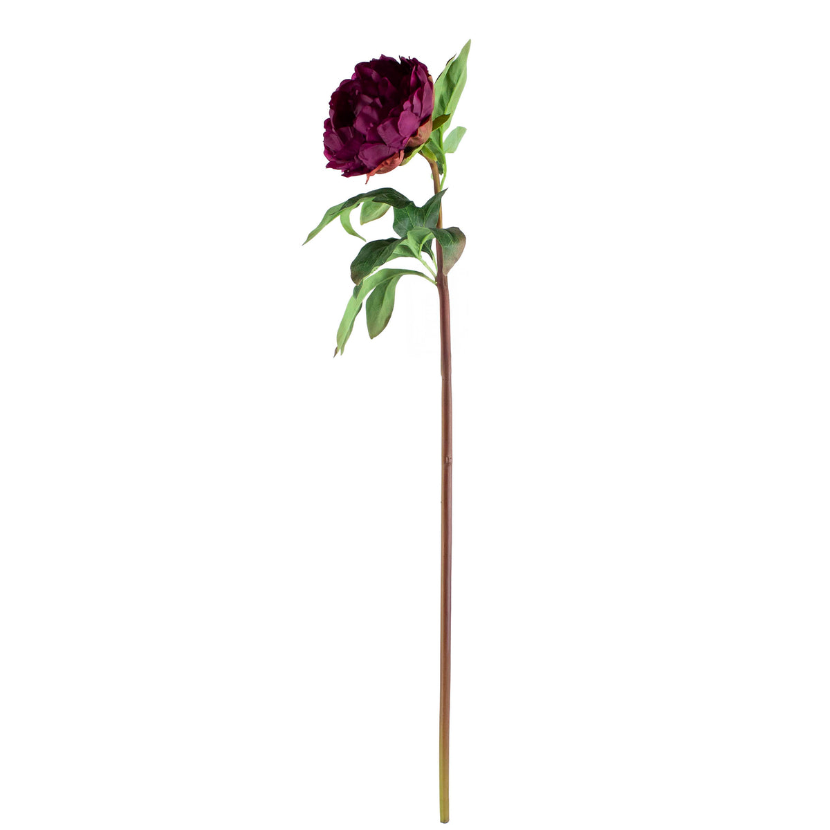 Flower peony burgundy 70cm