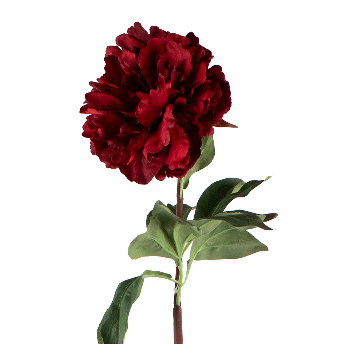 Flower peony red 75cm