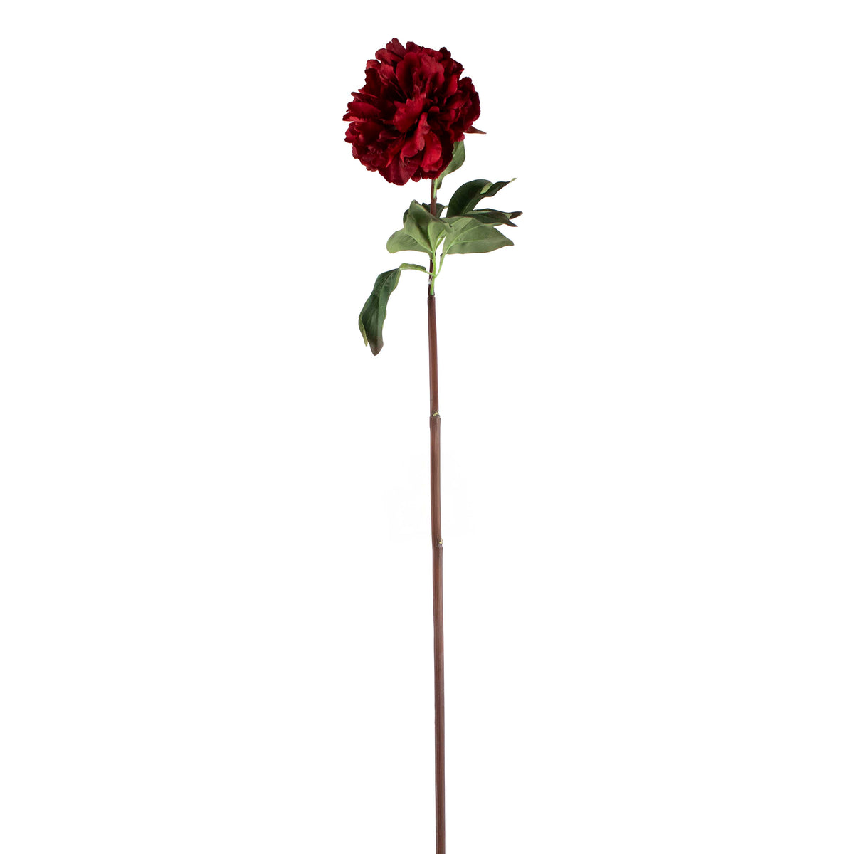 Flower peony red 75cm