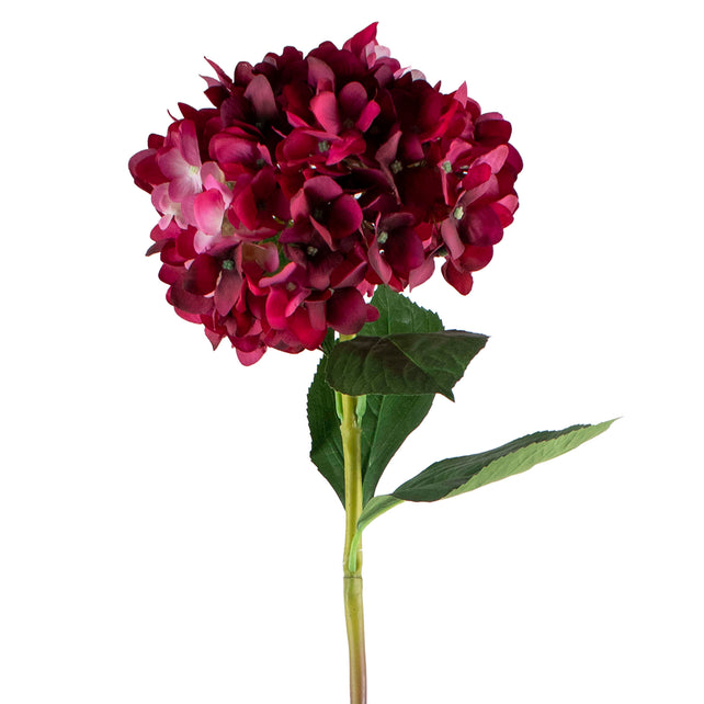 Flower hydrangea burgundy 72cm