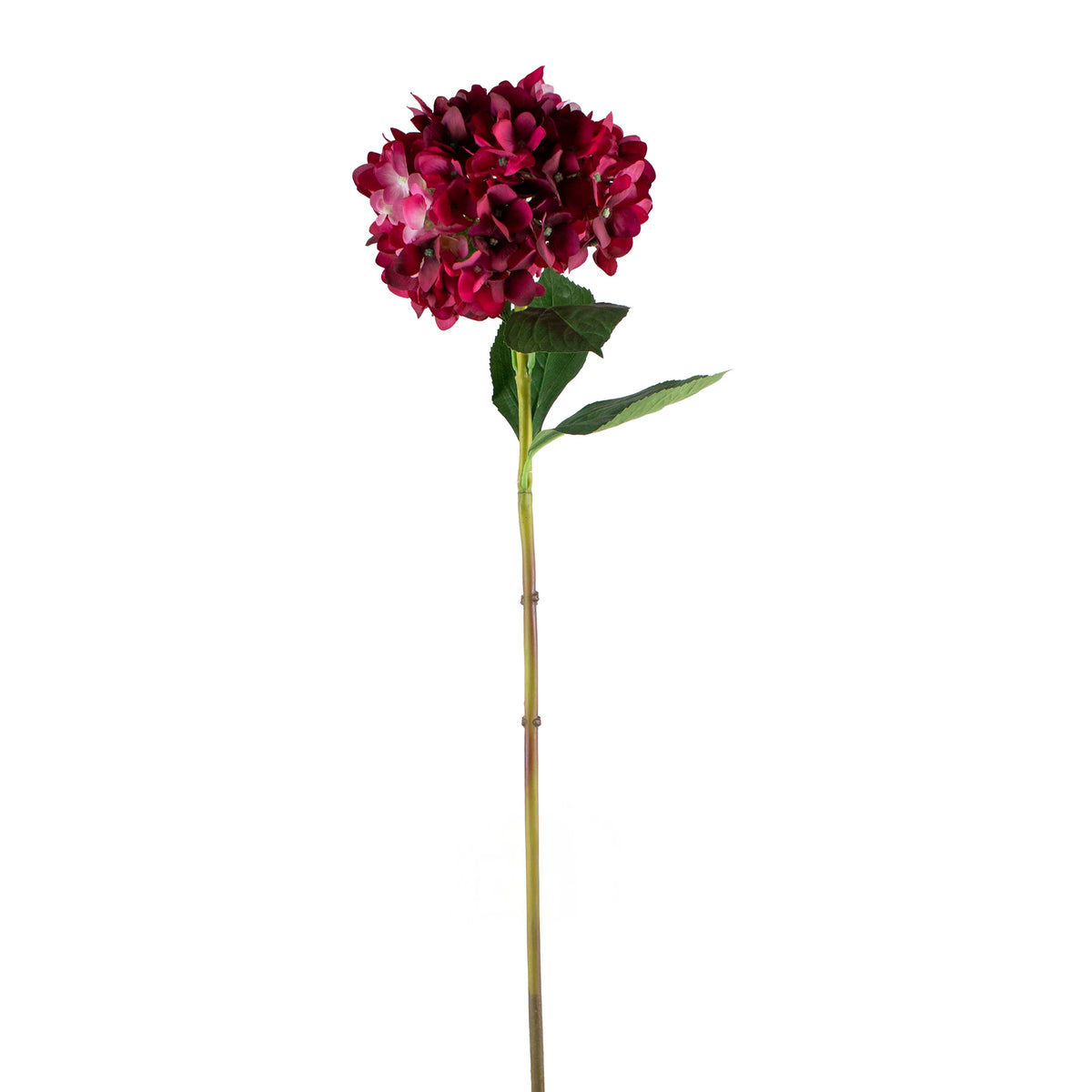Flower hydrangea burgundy 72cm