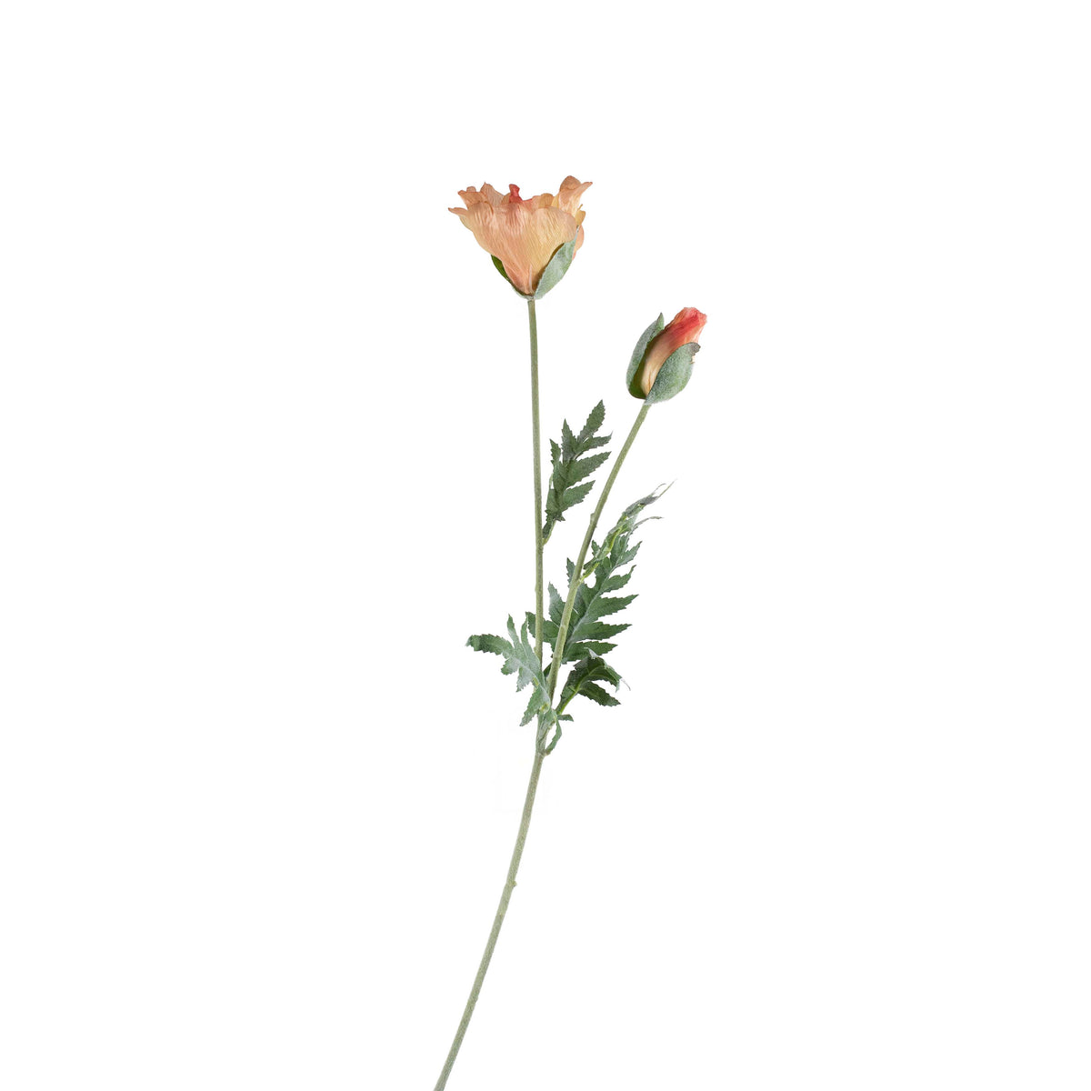Flower poppy light orange 75cm