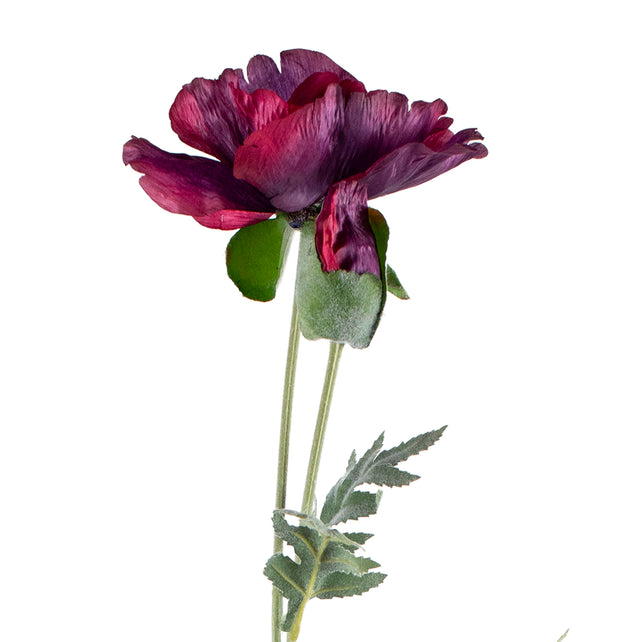 Flower poppy burgundy 75cm