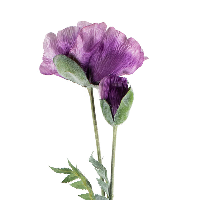 Flower poppy purple 75cm