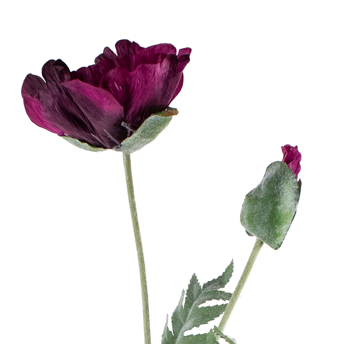 Flower poppy dark purple 75cm