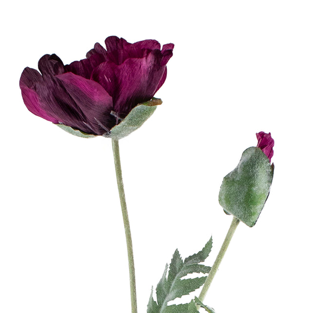 Flower poppy dark purple 75cm