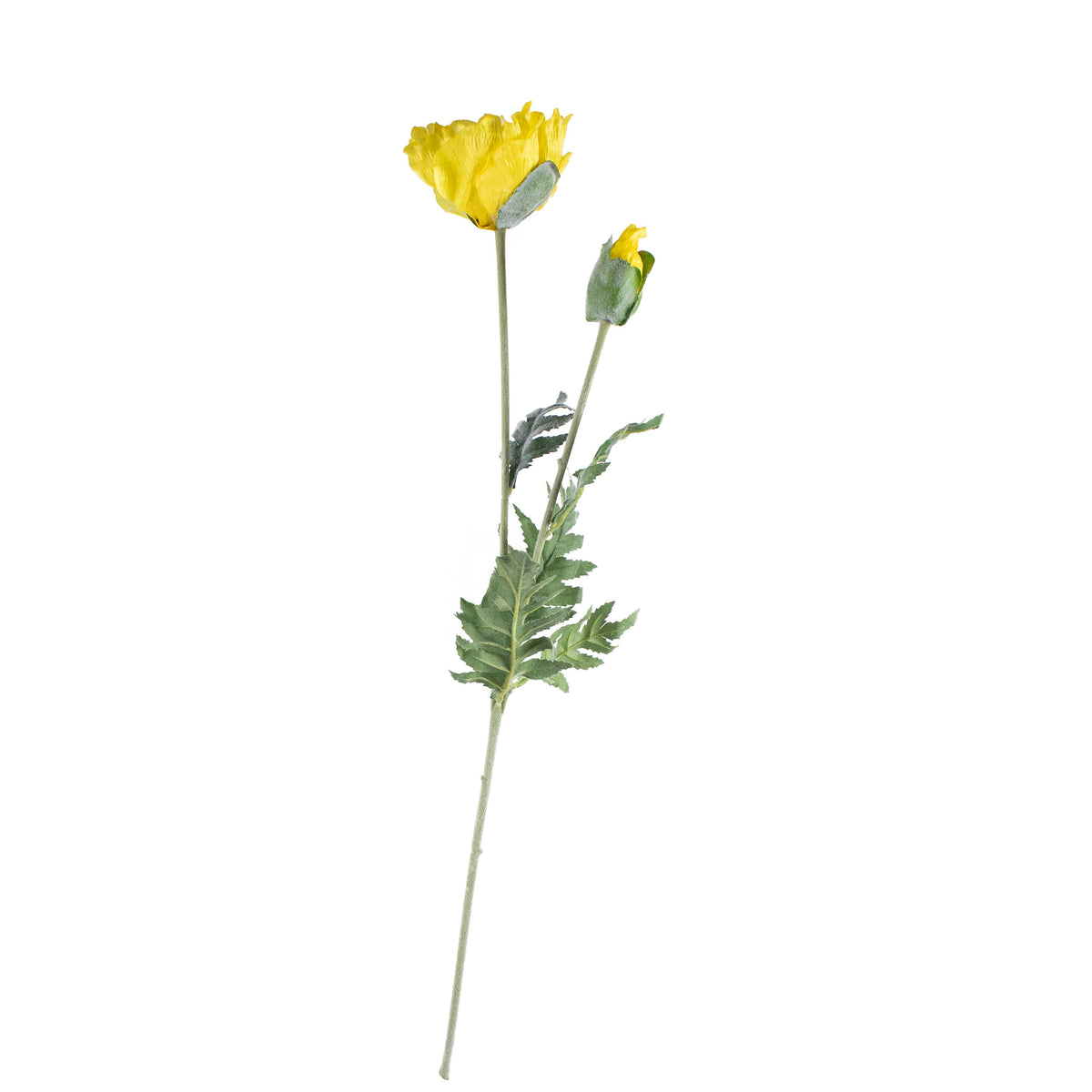 Flower poppy yellow 75cm