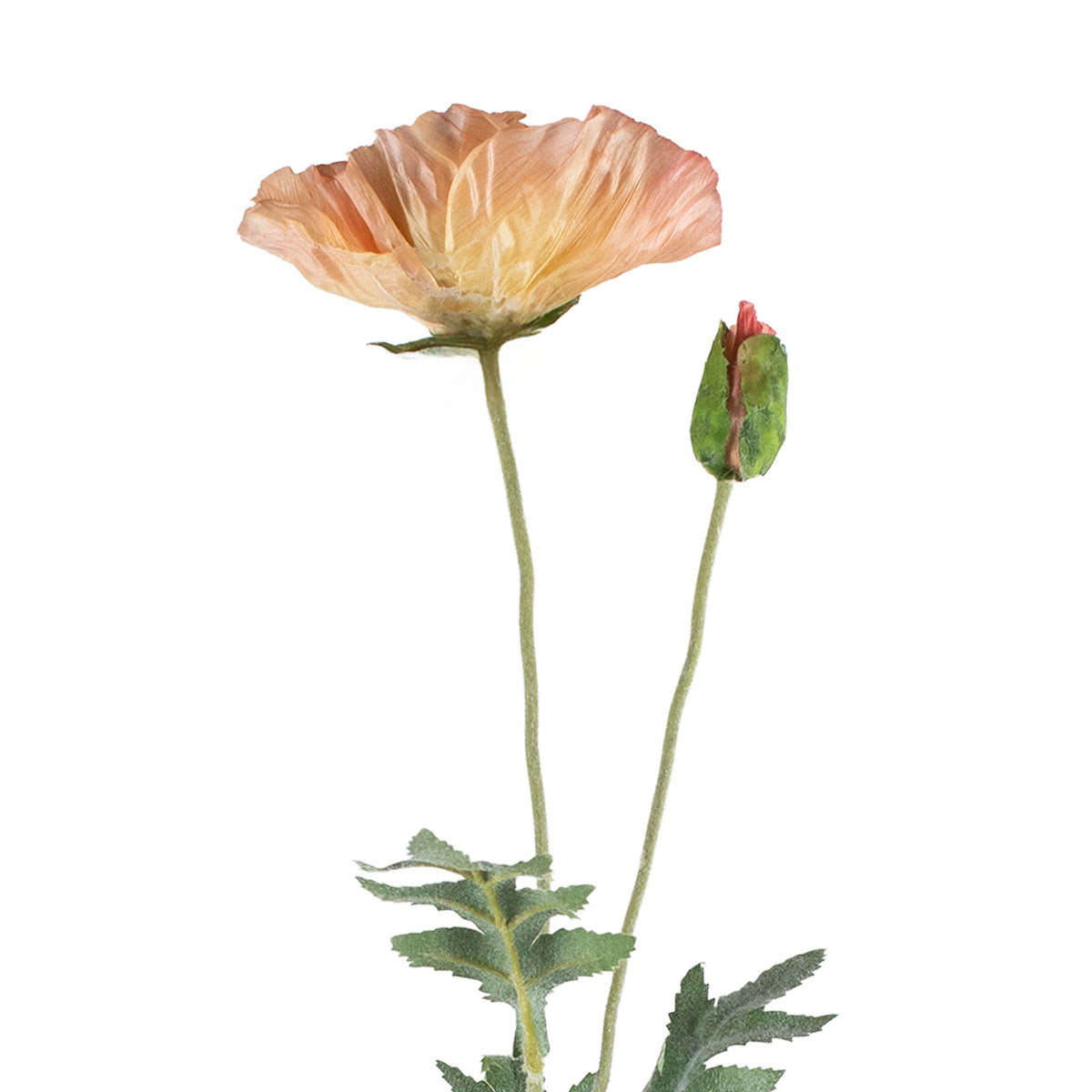 Flower poppy light orange 72cm