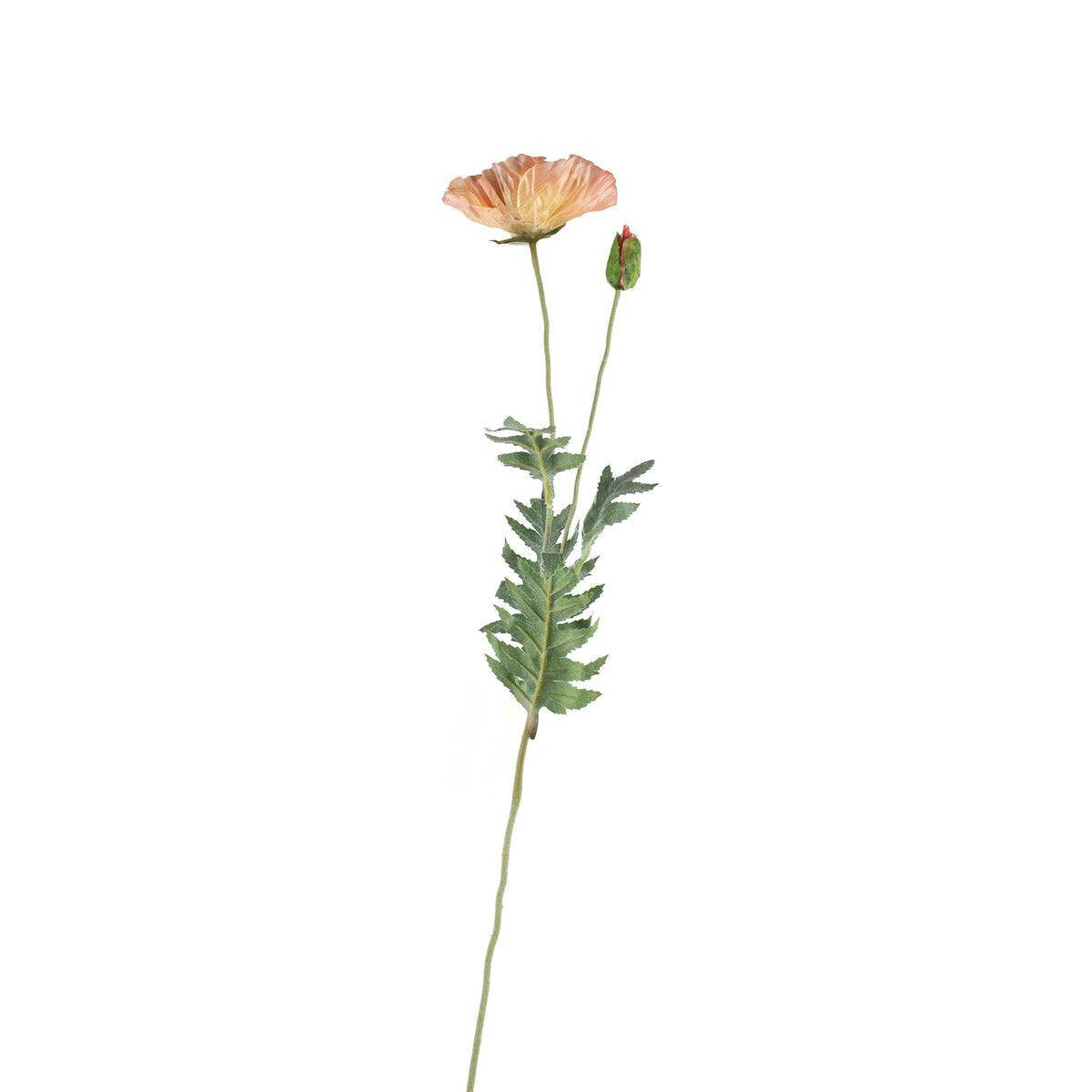 Flower poppy light orange 72cm